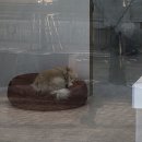 몽시떼루 이미지