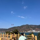 아라로 | 사천 아라마루 아쿠아리움ㅣ슈빌 하마 직관 솔직후기