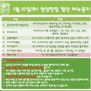 딸찬 이미지