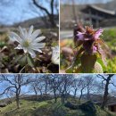 아미타사 네이버블로그