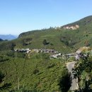 썬플라워펜션 이미지