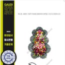 디자인가우디미술학원 - 안양시 동안구 평촌대로 119 | 디자인가우디미술학원