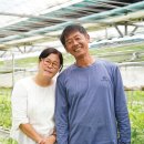 달콤한 푸른농장 이미지