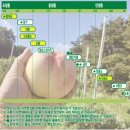 차돌농장 이미지