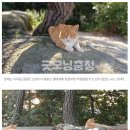 내포문화관광진흥원