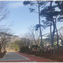 운서부동산공인중개사사무소 이미지