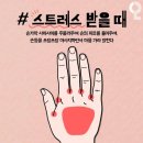 조물조물 이미지