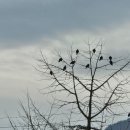 둥지부동산중개 이미지