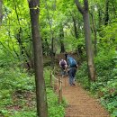 우면산둘레길 이미지