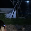 비고리조트 9 이미지