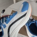 51 | 네파키즈 마운티어 운동화 NE6SS51 내돈내산 후기