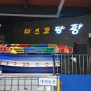 야시디팡 이미지