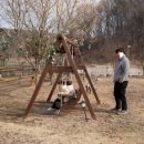 당나귀를부탁해 이미지