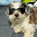 한빛공원(리더스프라자 앞) | 두쫀쿠가 계속 생각나