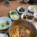 송골새