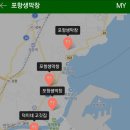장성동포항생막창 이미지