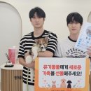 행복하개 이미지