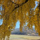 신당마을회관 이미지