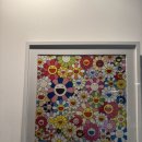 비바스크린골프 이미지