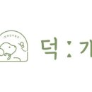 뽀송뽀송 애견미용 이미지