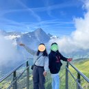버스정류장 07-187 | [스위스/인터라켄, 그린델발트] 🇨🇭 여행일지 2 : 피르스트 트로티바이크, 튠 호수 수영하기 / 수영하는...
