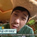 미친 요로결석 파쇄 후기