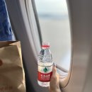 중국 칭다오 여행 : 산동항공 SC4622 탑승 및 입국 후기 (체크인, 좌석, 기내식, 디디)