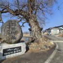 원등1구 이미지