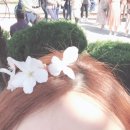 쥴서 이미지