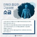 ◆불노초가 바로 (천일염) 소금! 이미지