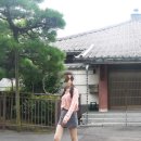 다이어트 시술 (지방분해주사, 윤곽 주사, HPL, 카복시, 람스, 지방 흡입까지 ) 내돈내산 솔직후기