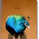 인천대공원(다목적광장) 이미지