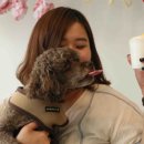 우아한개 이미지