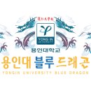 용인대드래곤태권도장 이미지