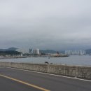 해파랑길 9코스 이미지