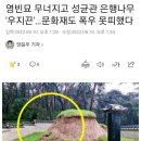 폭우로 인해 토사 유실된 조선시대 사적묘.jpg 이미지