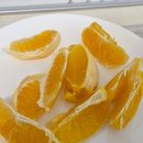토론토 워홀 일기 D+94