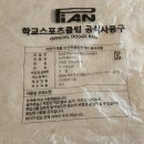 피안 | 초등학생 체육놀이용 피구공 추천, 피안 피구공 후기 😊