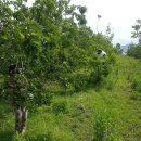 석현농장 이미지