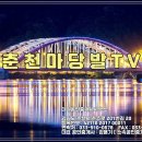 강원도 공인중개사사무소 이미지