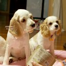 간식이모 이미지