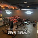 토니헬스케어 | 주엽PT 추천 애플힙 클래스, 직각어깨 클래스 등등 원잇핏PT/헬스