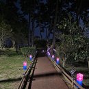 청사초롱 이미지