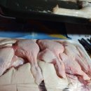 진도 무릉도원 이미지