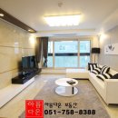 세종 엠-스테이 이미지