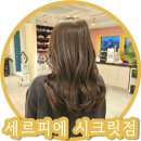 장지영헤어샵 | 회기미용실 세르피에헤어 시크릿점 애쉬매트 염색 후기!