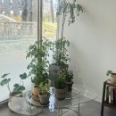 엑슬루타워 상가 앞 이미지