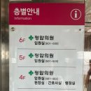 정암의원 이미지