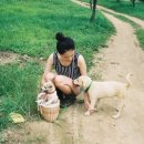 모모농장 이미지