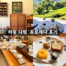 하동 다원 추천 유로제다 후기 다실 차체험 티코스 예약 가격